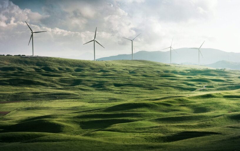 Fünf umweltverträgliche grüne Marken - Going Green