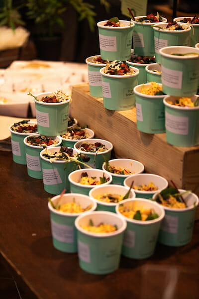 INSYNC Live Summit - February 2020