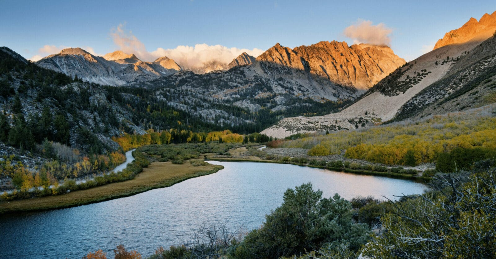 La communauté INSYNC et le sommet virtuel 