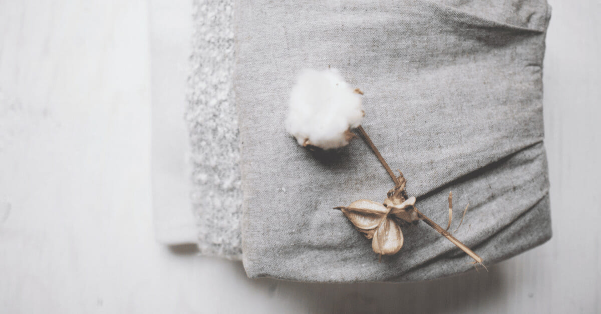 Tainted Cotton” — Brand Protection and Social Responsibility in Fashion