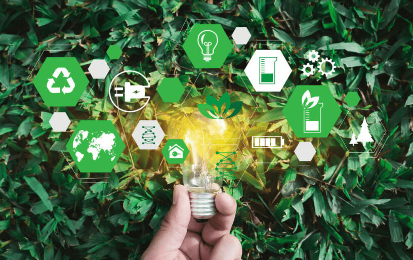 Productos sostenibles y marcas ecológicas: 6 grandes marcas que lanzaron marcas ecológicas