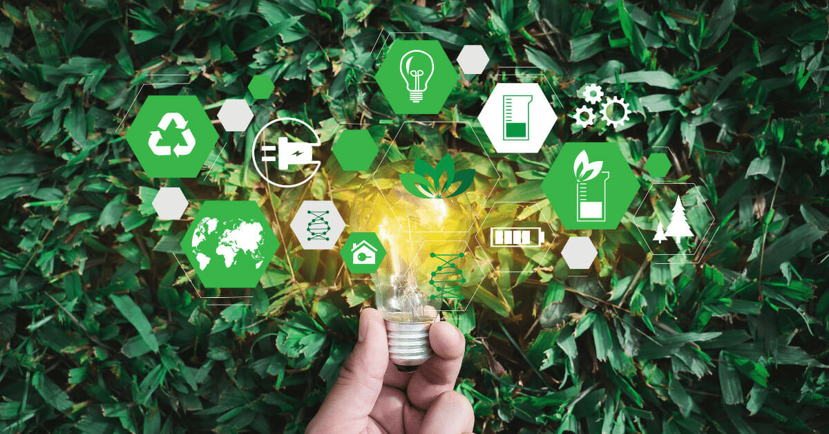 Prodotti sostenibili e marchi verdi: 6 grandi marchi che hanno lanciato marchi eco-compatibili